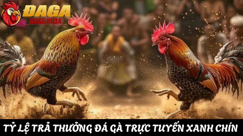 Khám phá sự phát triển của đá gà trực tuyến năm 2025 sự phát triển của đá gà trực tuyến hiện nay