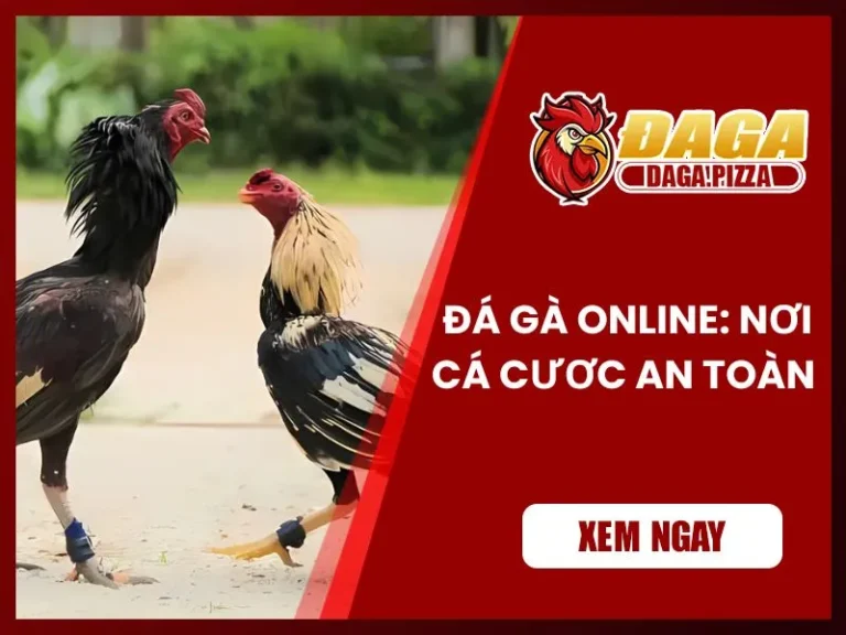 Đá gà online: Nơi cá cược an toàn và trả thưởng công khai Đá gà online: Nơi cá cược an toàn