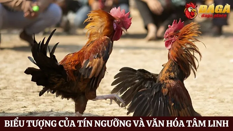 Đá gà và văn hóa dân gian Việt Nam: Nét đẹp truyền thống Đá gà và văn hóa dân gian Việt Nam - Biểu tượng của tín ngưỡng