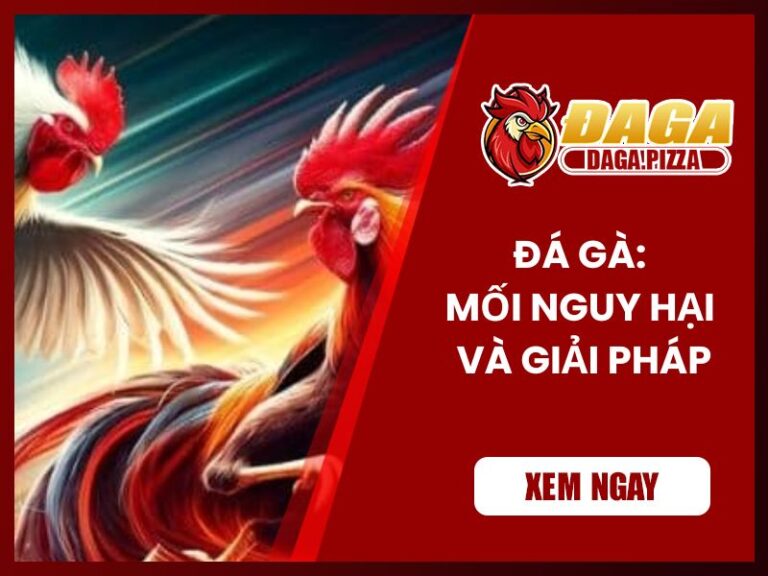 Đá gà – Mối nguy hại và giải pháp giải quyết hiệu quả Đá gà – Mối nguy hại và giải pháp