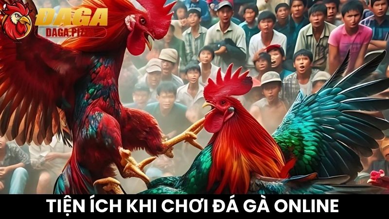 Tham gia chơi đá gà online với đa dạng tiện ích Tham gia chơi đá gà online với đa dạng tiện ích