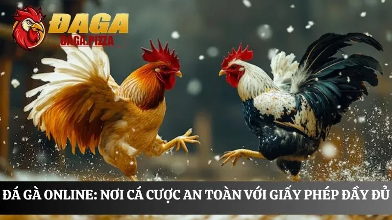 Đá gà online: Nơi cá cược an toàn và trả thưởng công khai chứng nhận Đá gà online: Nơi cá cược an toàn