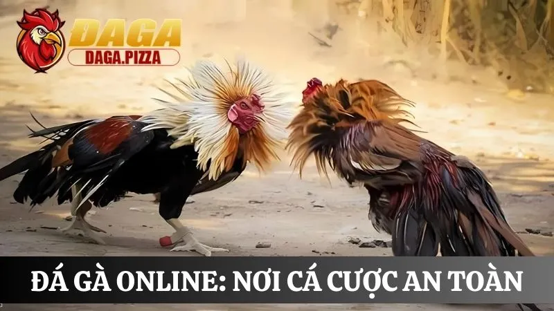 Đá gà online: Nơi cá cược an toàn và trả thưởng công khai Đá gà online: Nơi cá cược an toàn